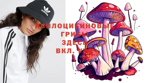 PSILOCYBIN Арсеньев